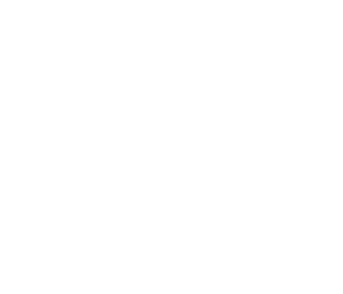 Bionicão